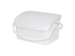 PANIER PICNIC ROTIN