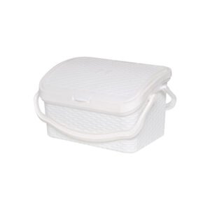 PANIER PICNIC ROTIN