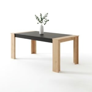 TABLE A MANGER CORAL